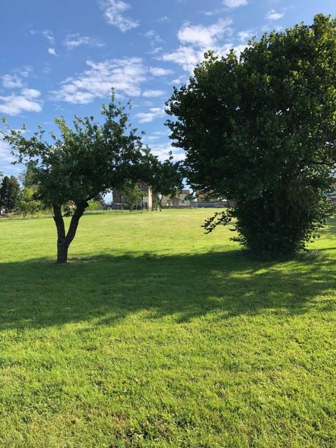 The Walnut Tree Gite Villa Le Dorat Kültér fotó